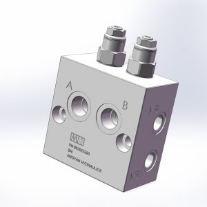 Dual Counterbalance Valve(T11A)